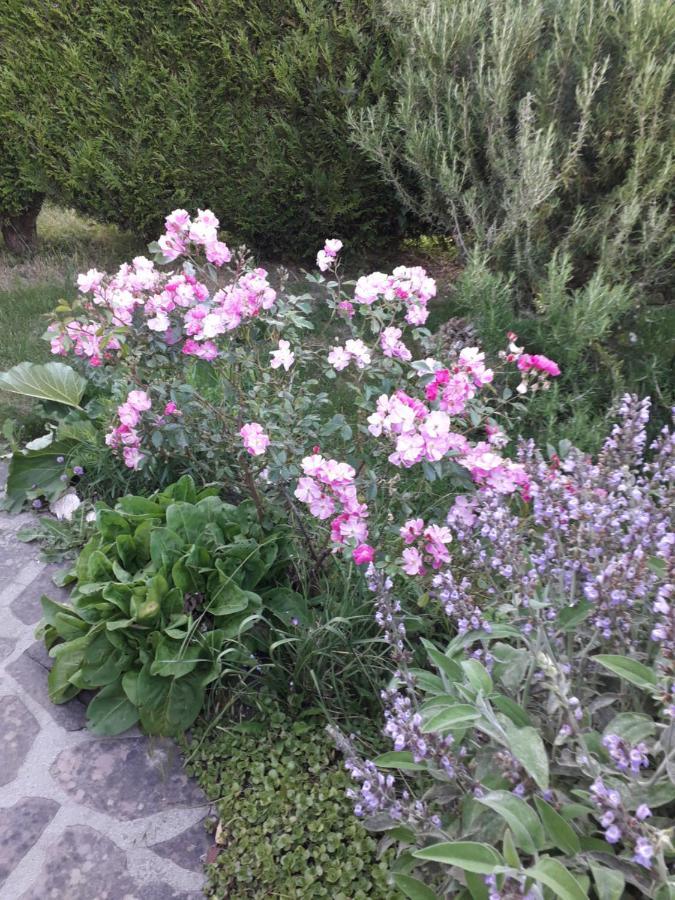 Chambre D'Hotes - Douce Nui-The Vernouillet  外观 照片